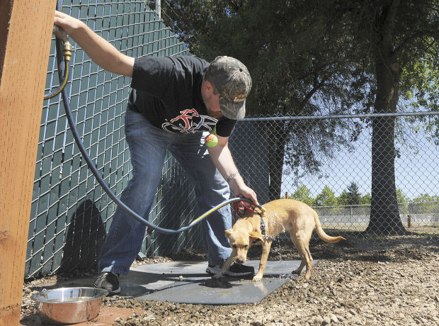 Albany opens dog park at Timber-Linn