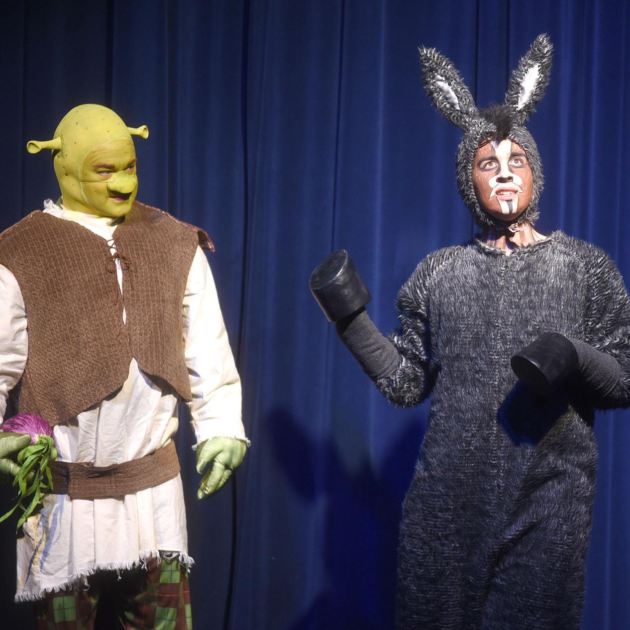 Shrek The Musical Bows At Act Theatre Democratherald Com