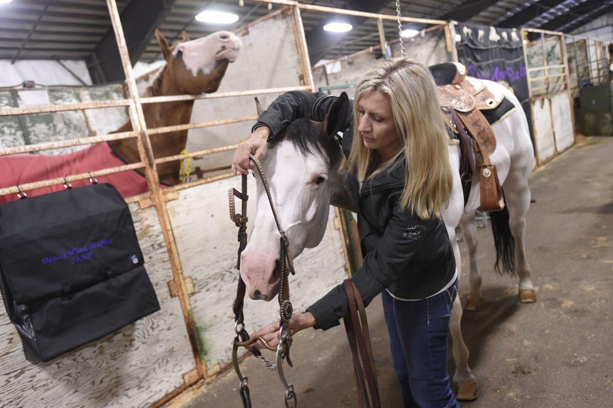 Paint horses gather at Expo Center