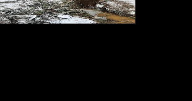 Linn-Benton area thawing after ice storm - Vimarsana News