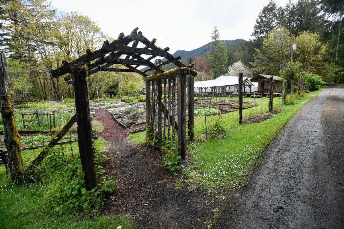 Thyme Gardens Alsea Oregon Fasci Garden