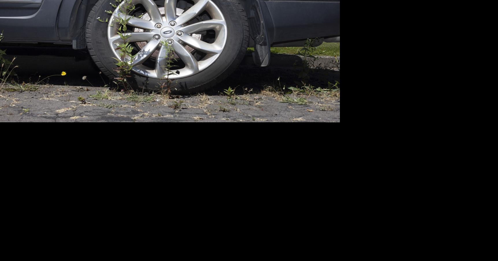 No quick fixes for bumpy roads: Albany gas tax could still be long way off