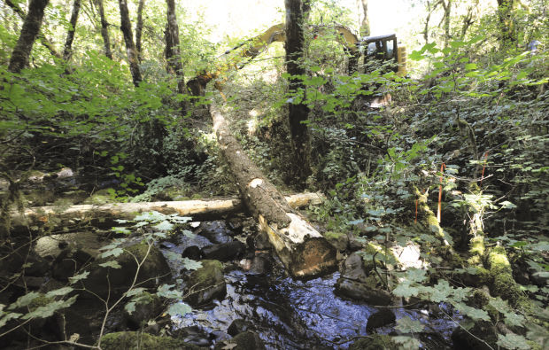 Restoring Brush Creek