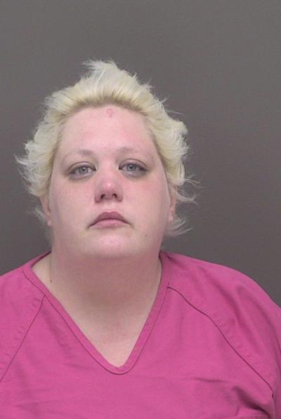 Waterloo RV vandal scheduled for sentencing Jan 13