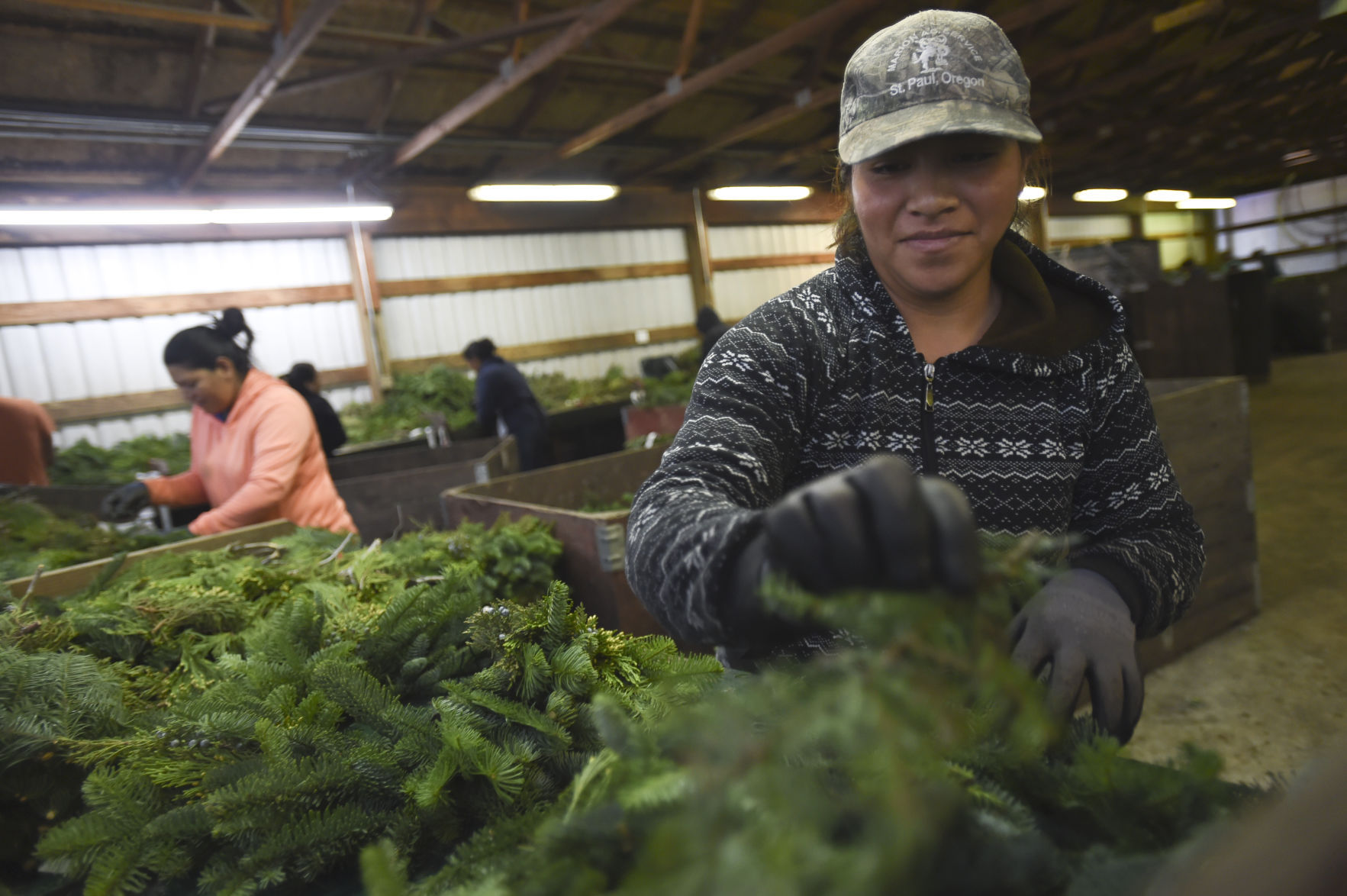 Christmas sale tree growers