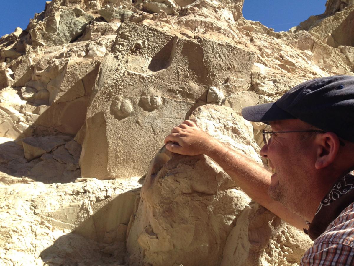Death Valley alive with fossil finds