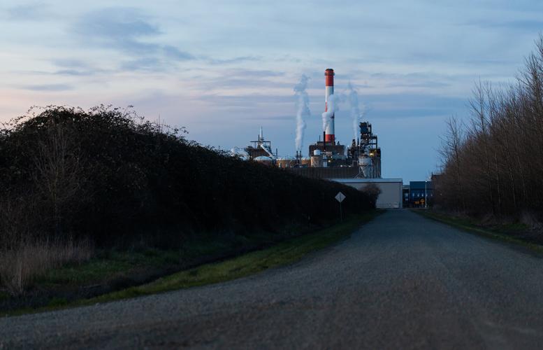 Oregon DEQ cracking down on Halsey pulp mill