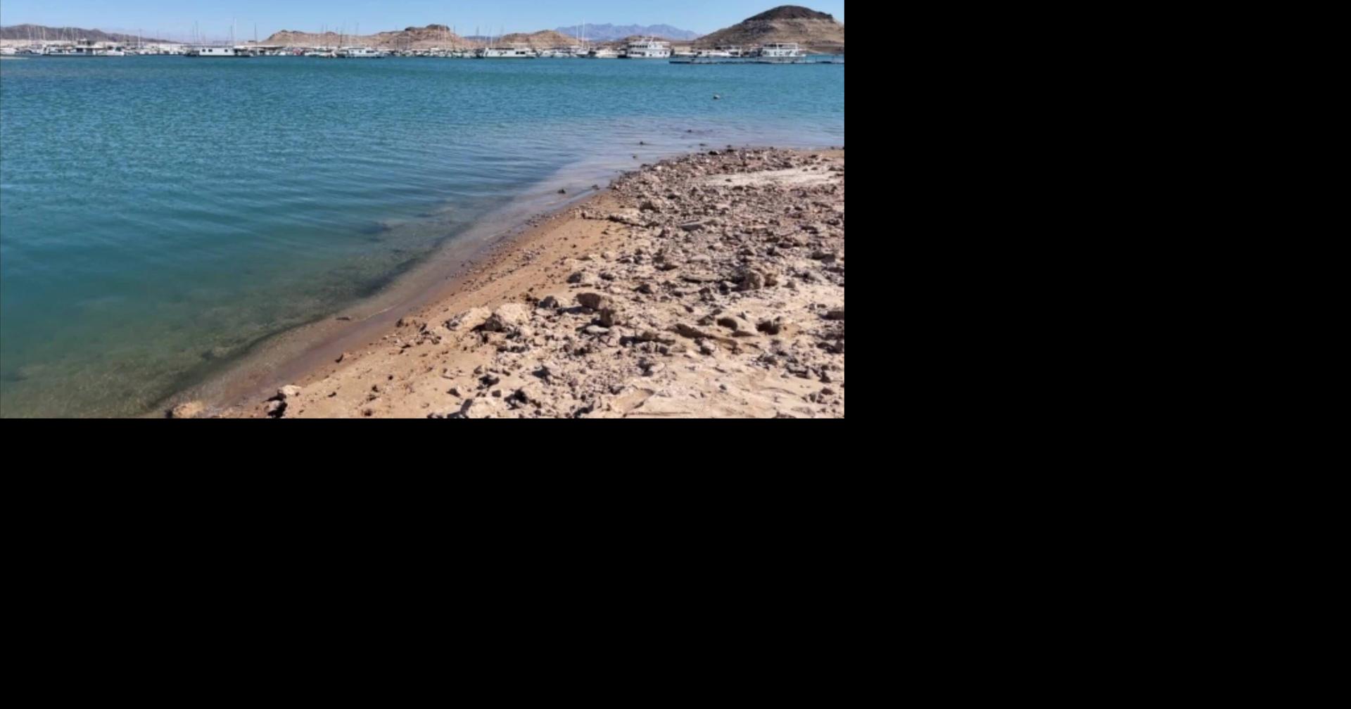 Lake Mead defies projections as water levels rise