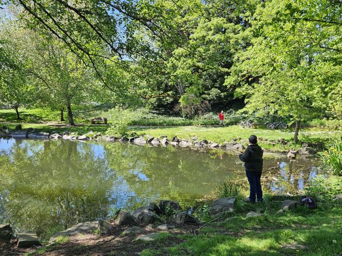 Waverly Lake to see vegetation cleanup