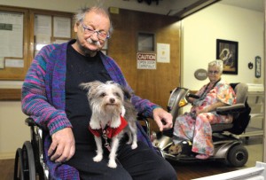 healing touch for dogs