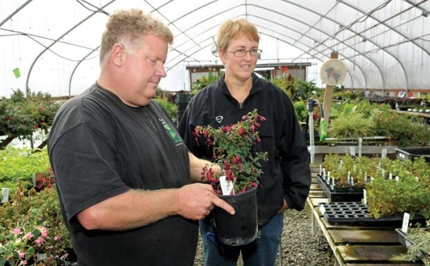 Fry Road Nursery All You Would Expect And More Local Fry Road Nursery All You Would Expect