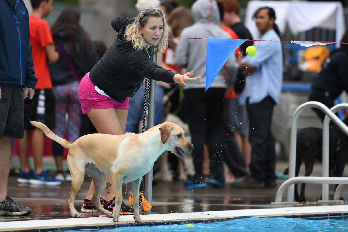 100817-cgt-nws-dogs-0003-ao.jpg