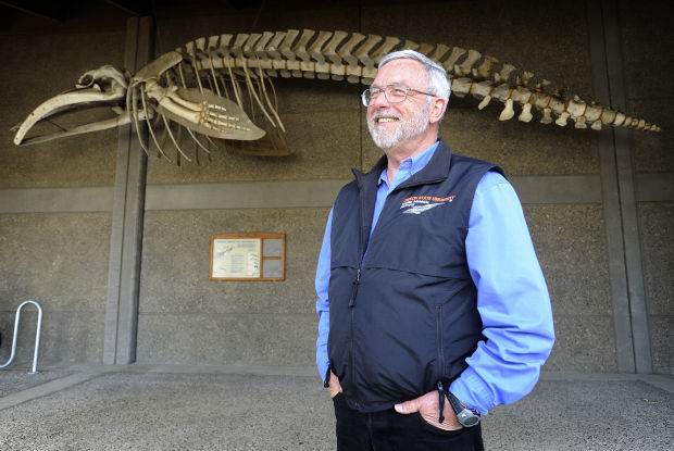 Whale bones found in highway were not from mystery whale
