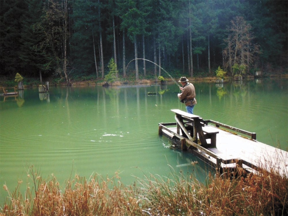 The love of fly fishing Oregonoutdoors