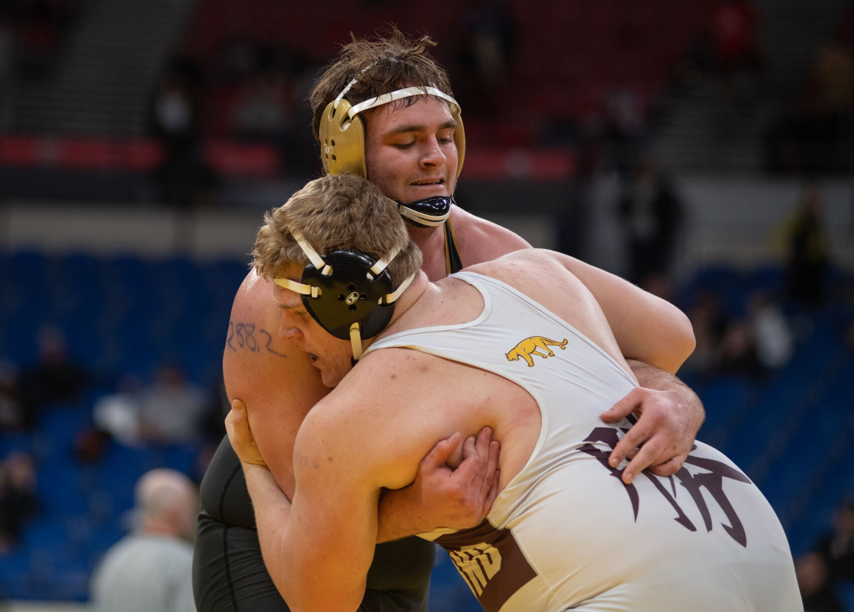 High school wrestling CVs Gillett, Lamer fulfill dreams of four titles; Wests Martinez wins her second pic