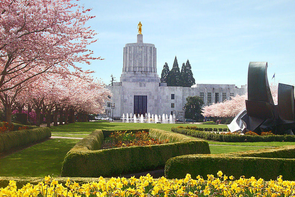 State capitol (copy)