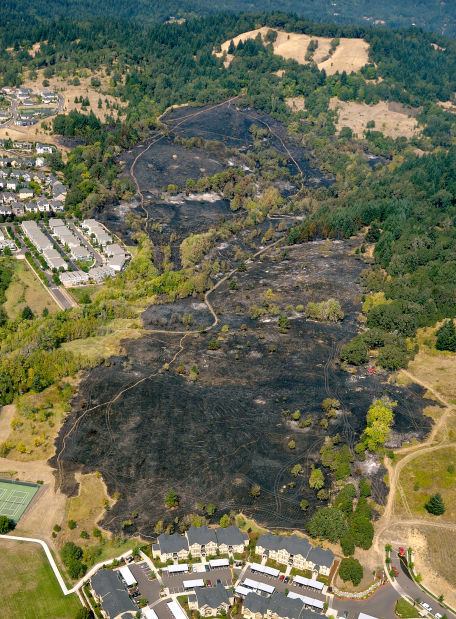 G T Top Story Of 2014 The Fire Next Door A Look Back