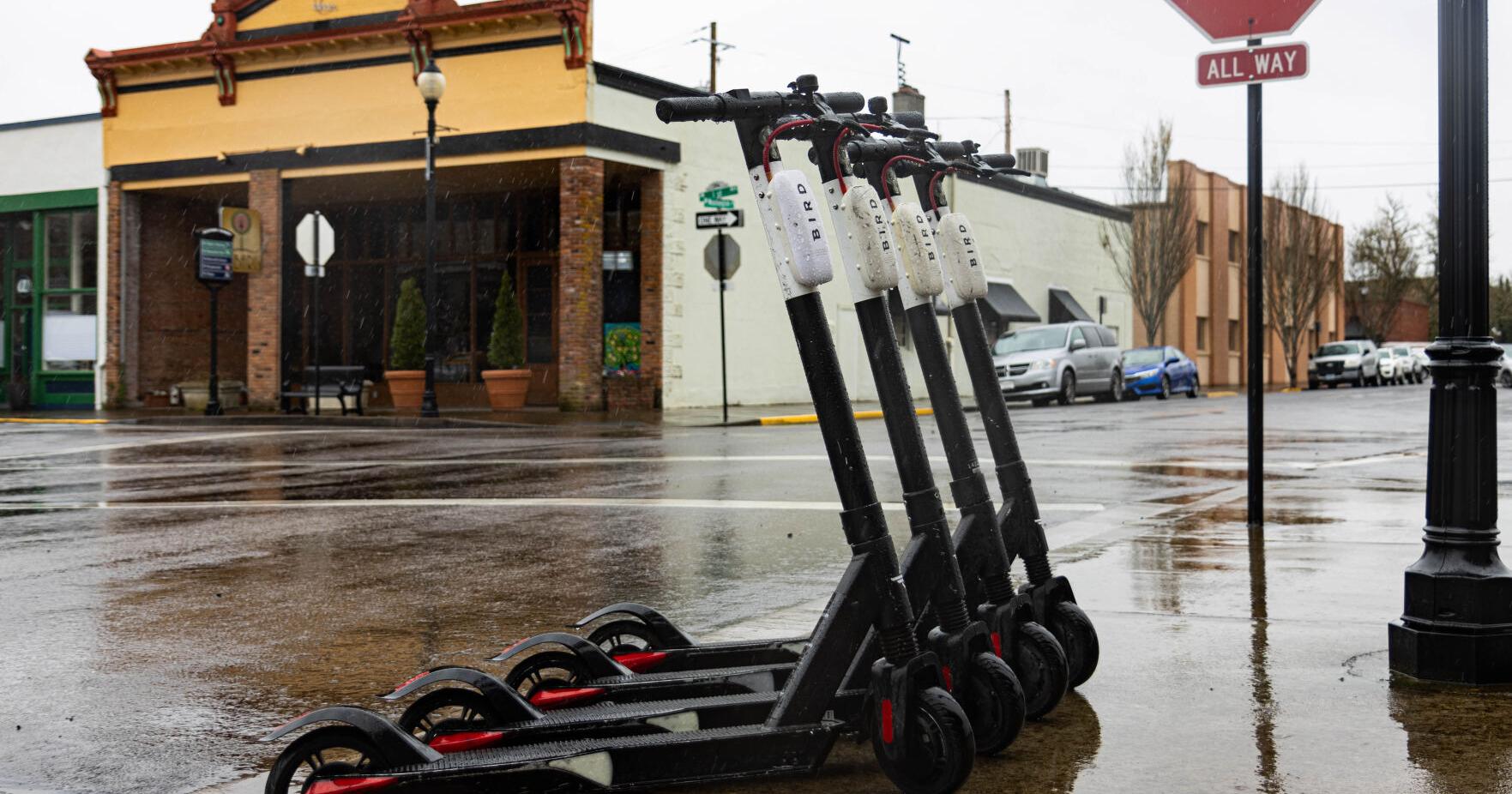 Albany Bird scooter contractor pulls out - Vimarsana News