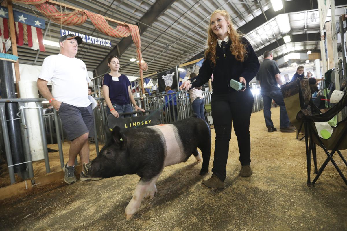 Linn County Fair Livestock Auction 2019