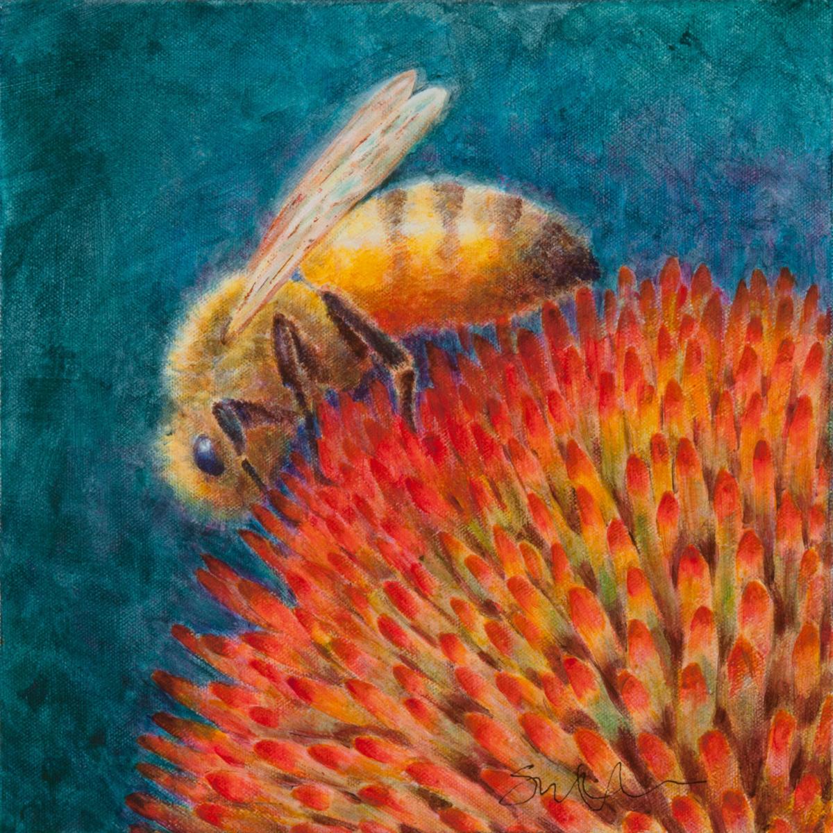 Echinacea and Bee