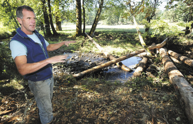 Restoring Brush Creek