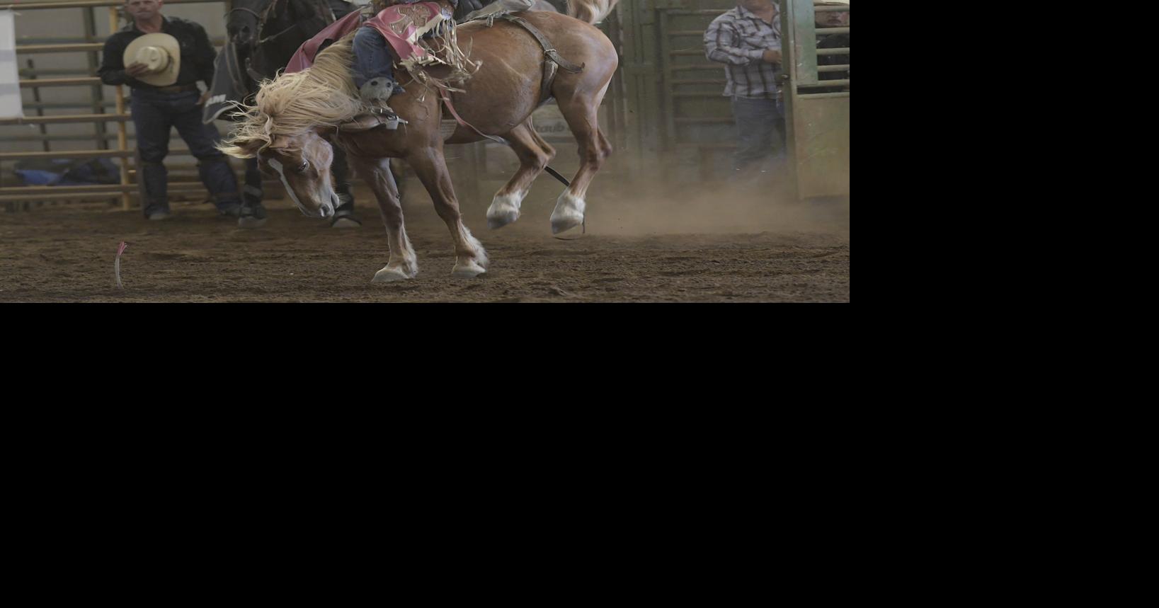 Gallery: Linn County Rough Stock Rodeo