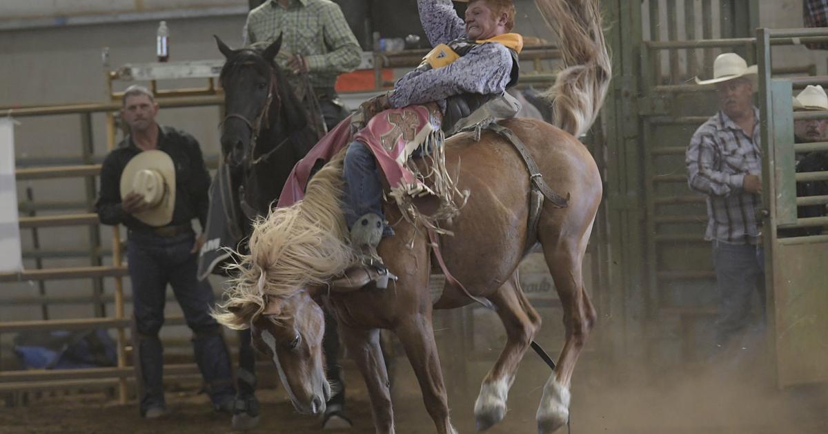 Gallery: Linn County Rough Stock Rodeo