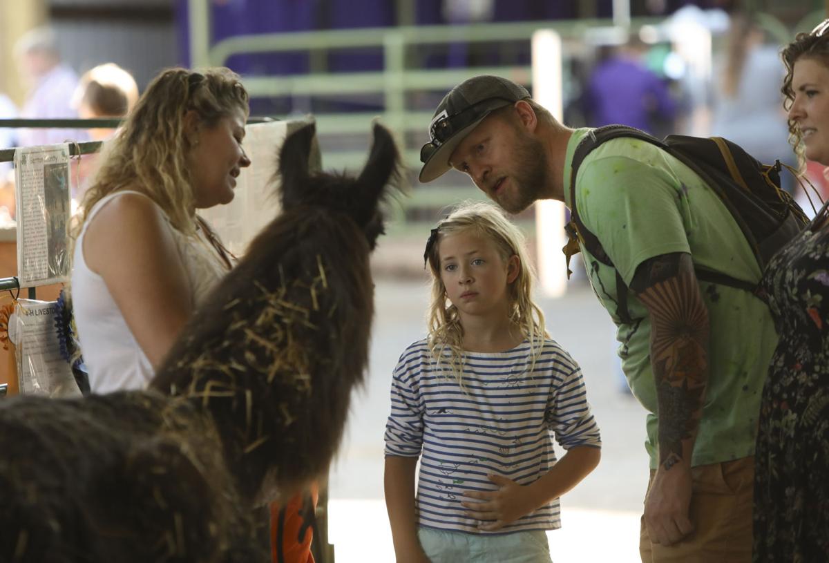 Lyon County Fair And Rodeo 2022