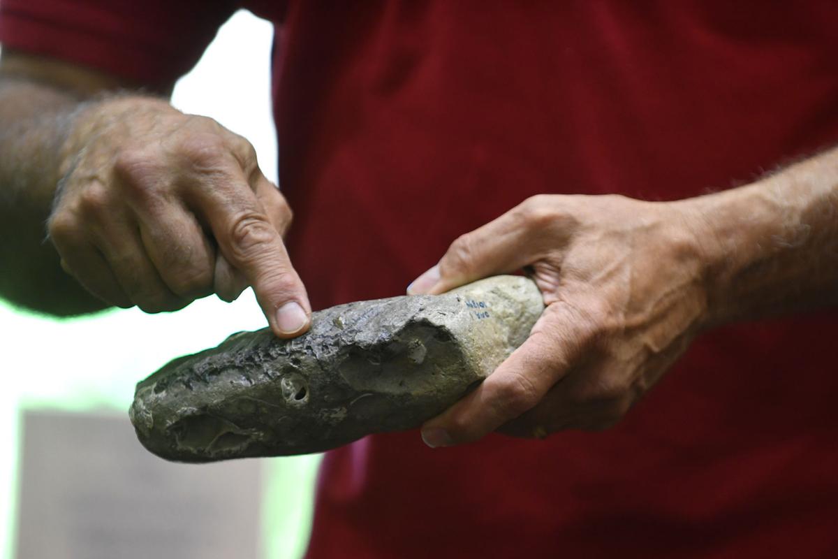 Gallery Fossil Guy Photo Gallery