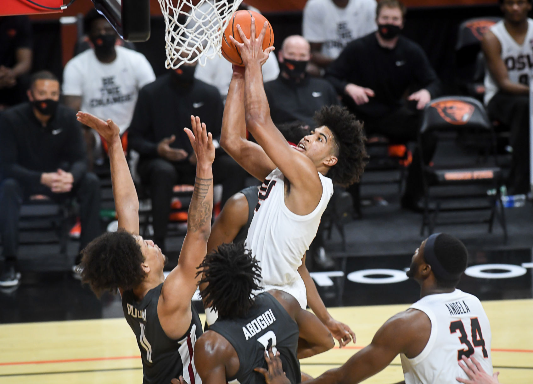 bounce back basketball