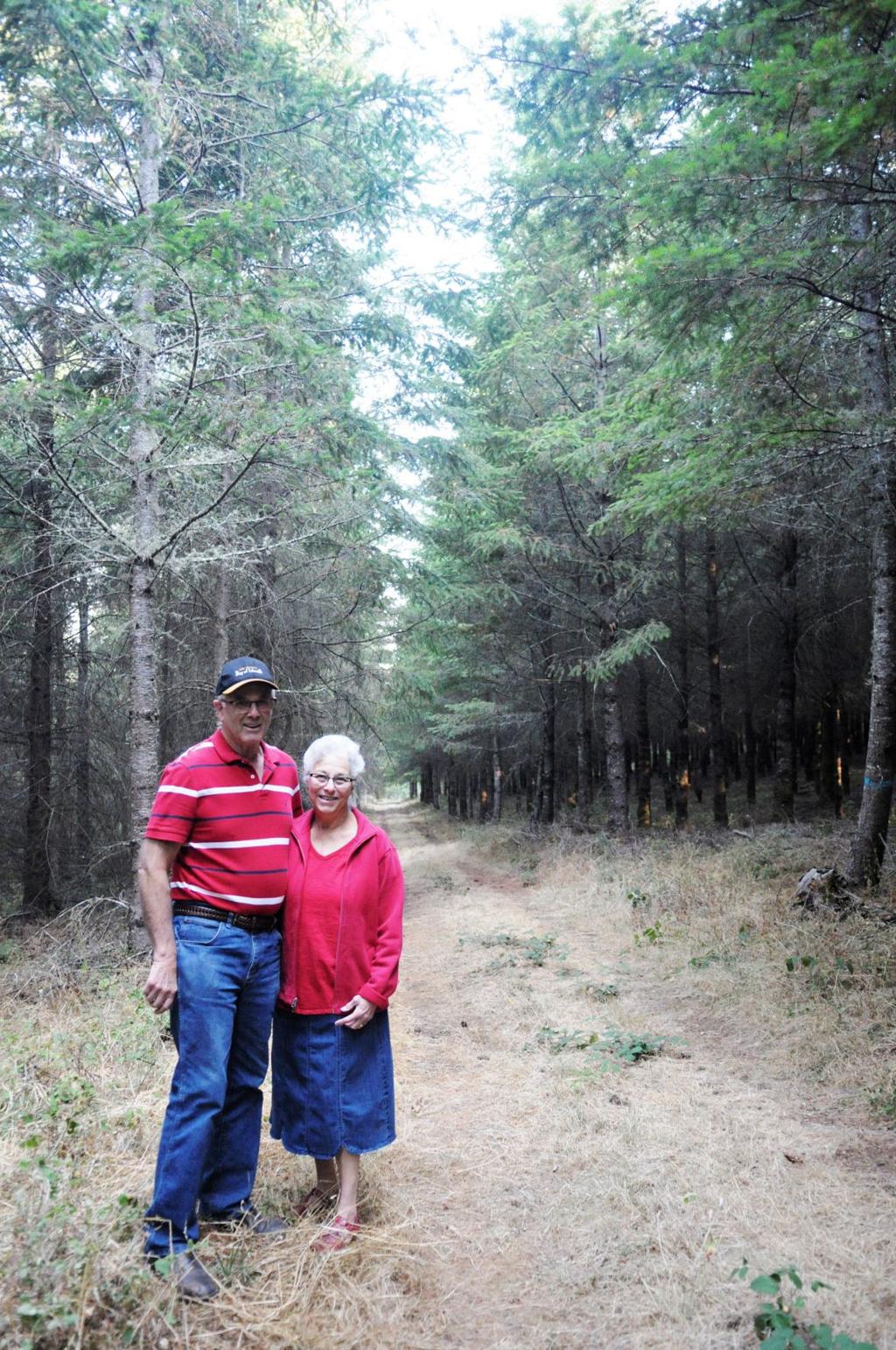 Weld family named Tree Farmers of the Year | News | democratherald.com