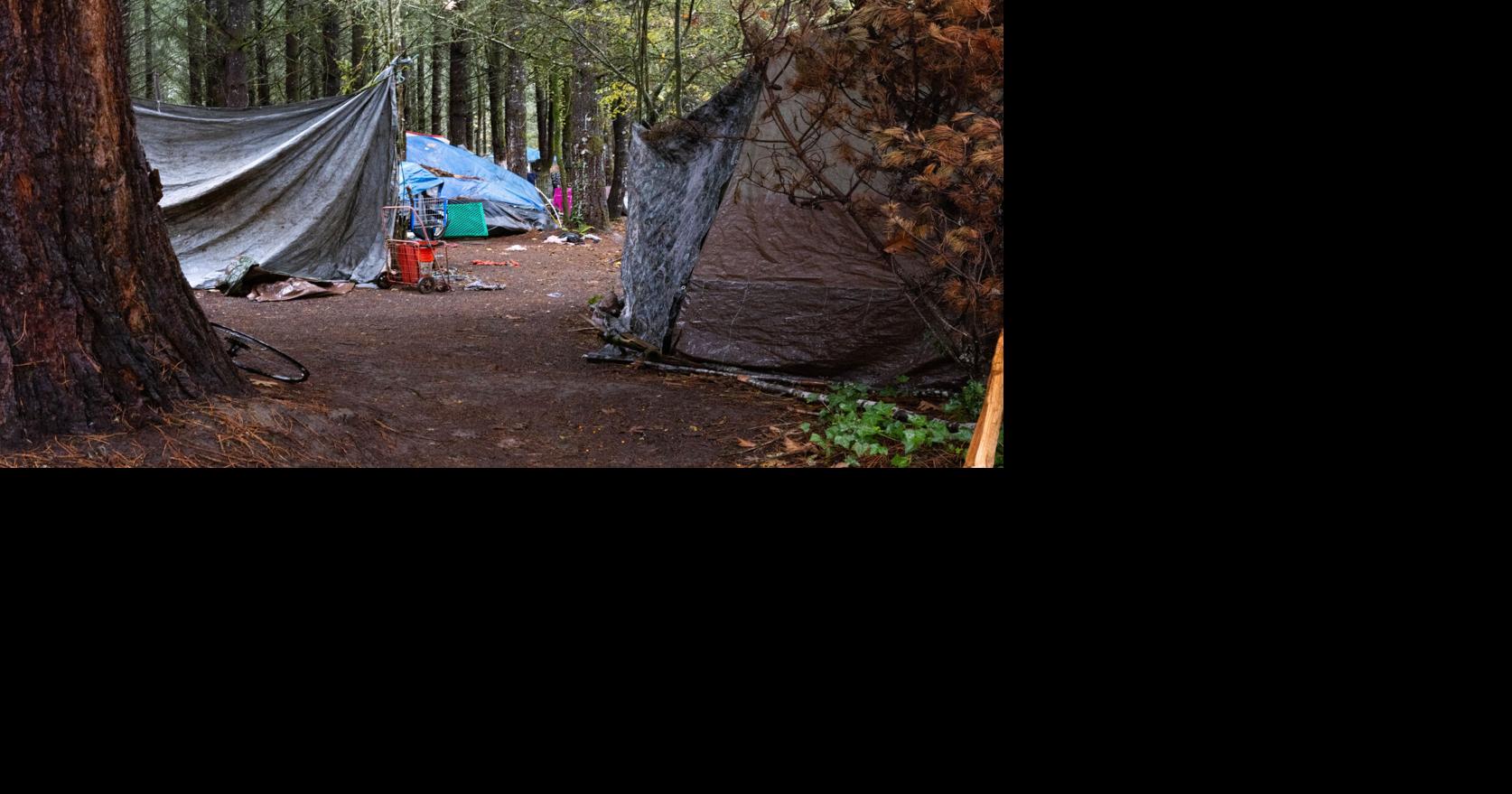 Tree farm fiasco has Corvallis homelessness under microscope