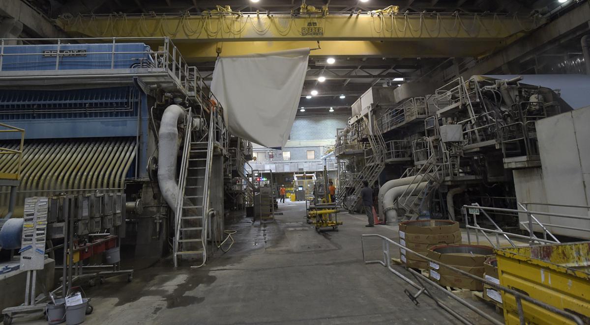 Gallery Halsey Paper Mill at 50 Local