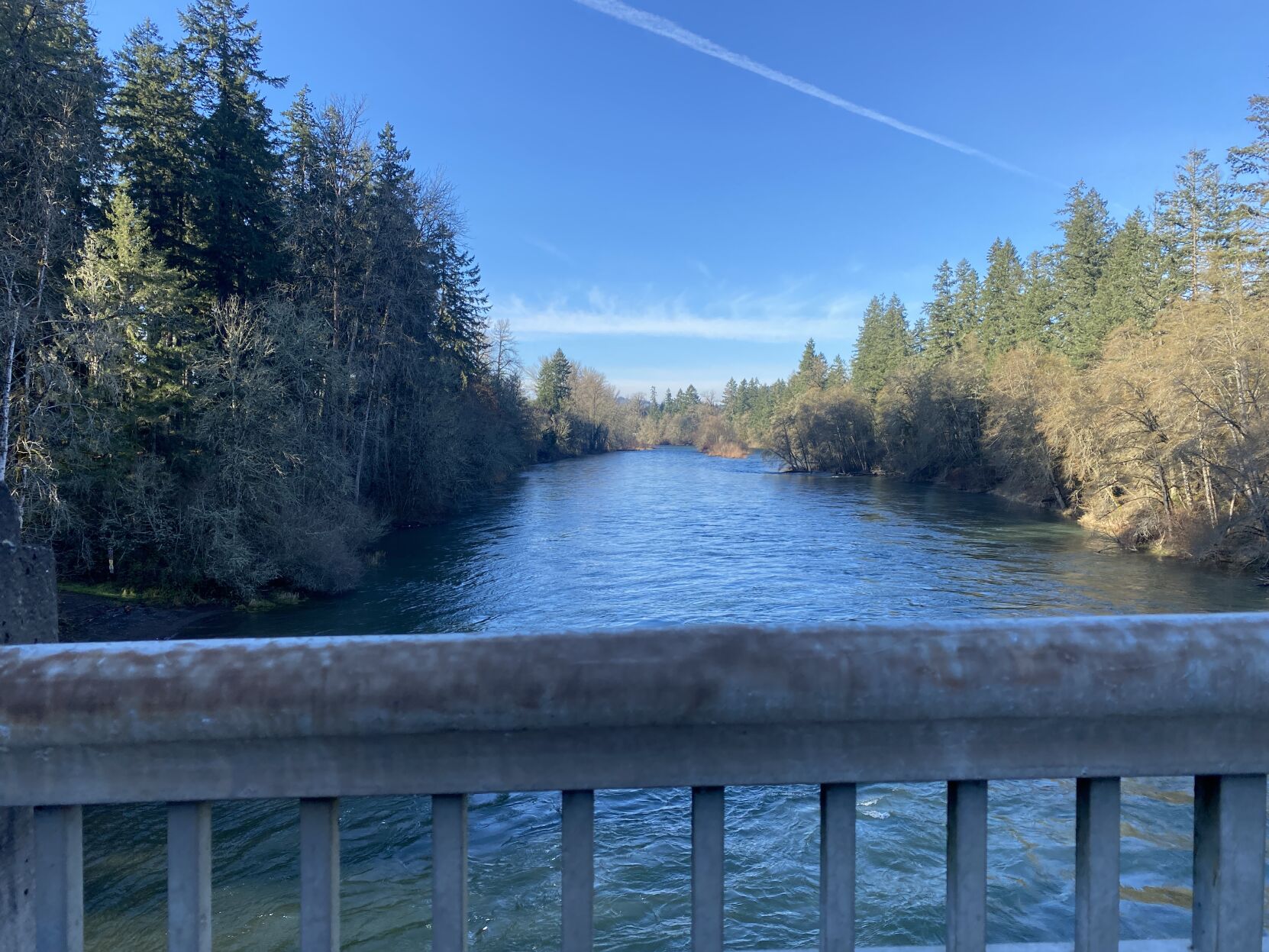 Water rescuers save stranded tuber on South Santiam River