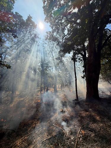 Mid-Willamette Prescribed Burn Association helps restore oak habitat