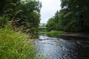 Linn County bridges among worst in state, Benton second