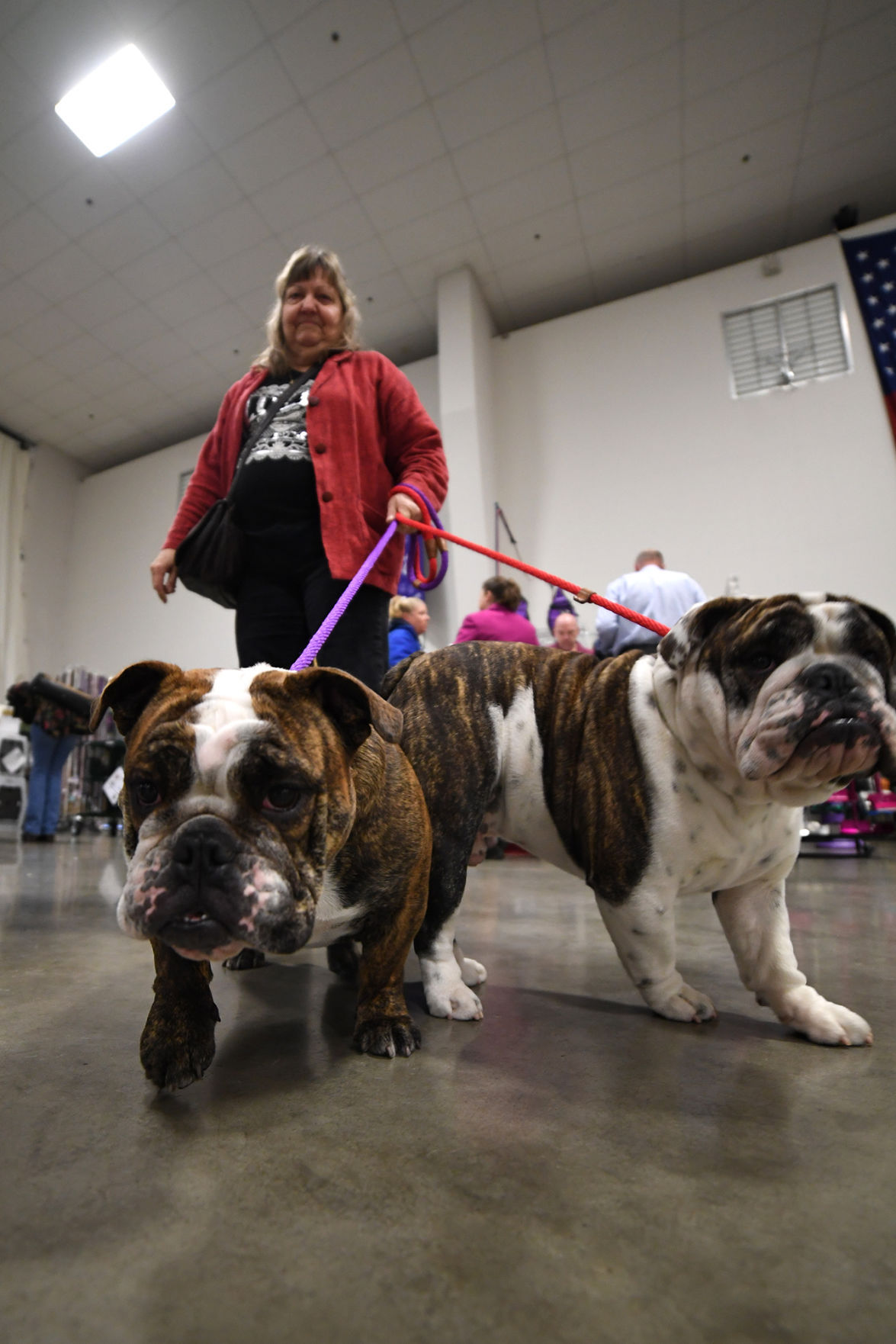 Dog show more than show at Expo Center Local