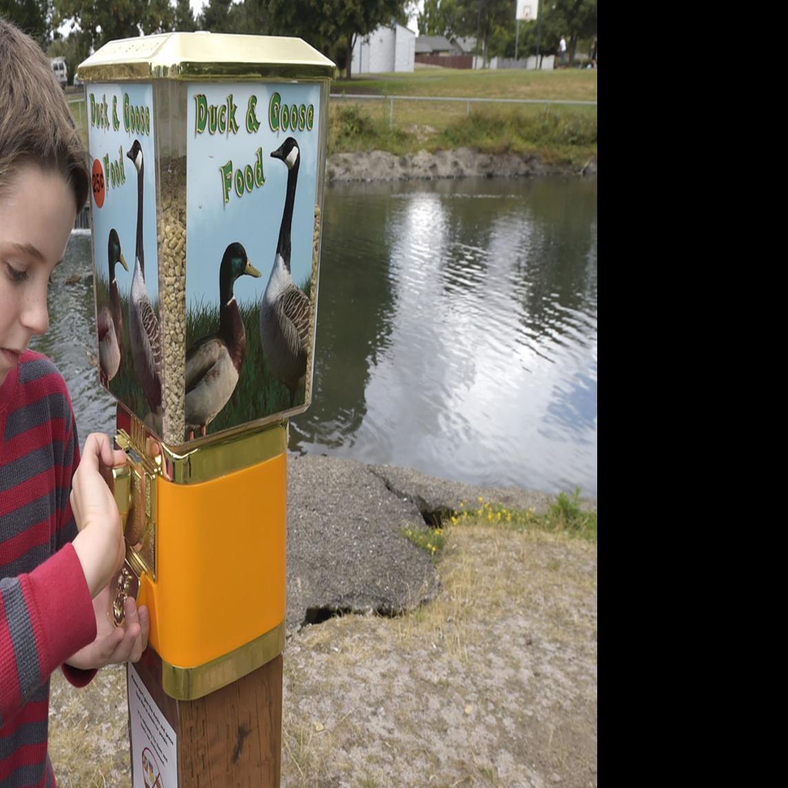 Duck Duck Goose Food Dispenser Added To Park Local