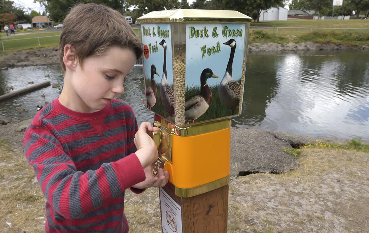 Duck, duck goose Food dispenser added to park Local