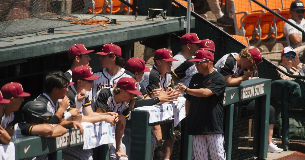 Corvallis Knights players relish experiences