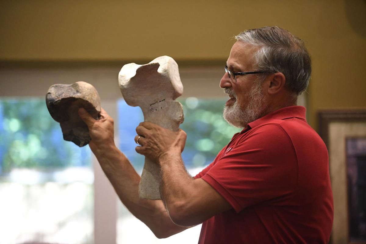 Oregon Fossil Guy shares 15 millionyearold secrets News