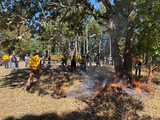 Mid-Willamette Prescribed Burn Association helps restore oak habitat