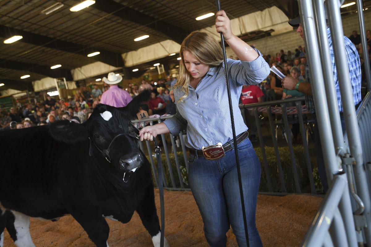 Another Record Year For Linn County Fair News Democratherald Com