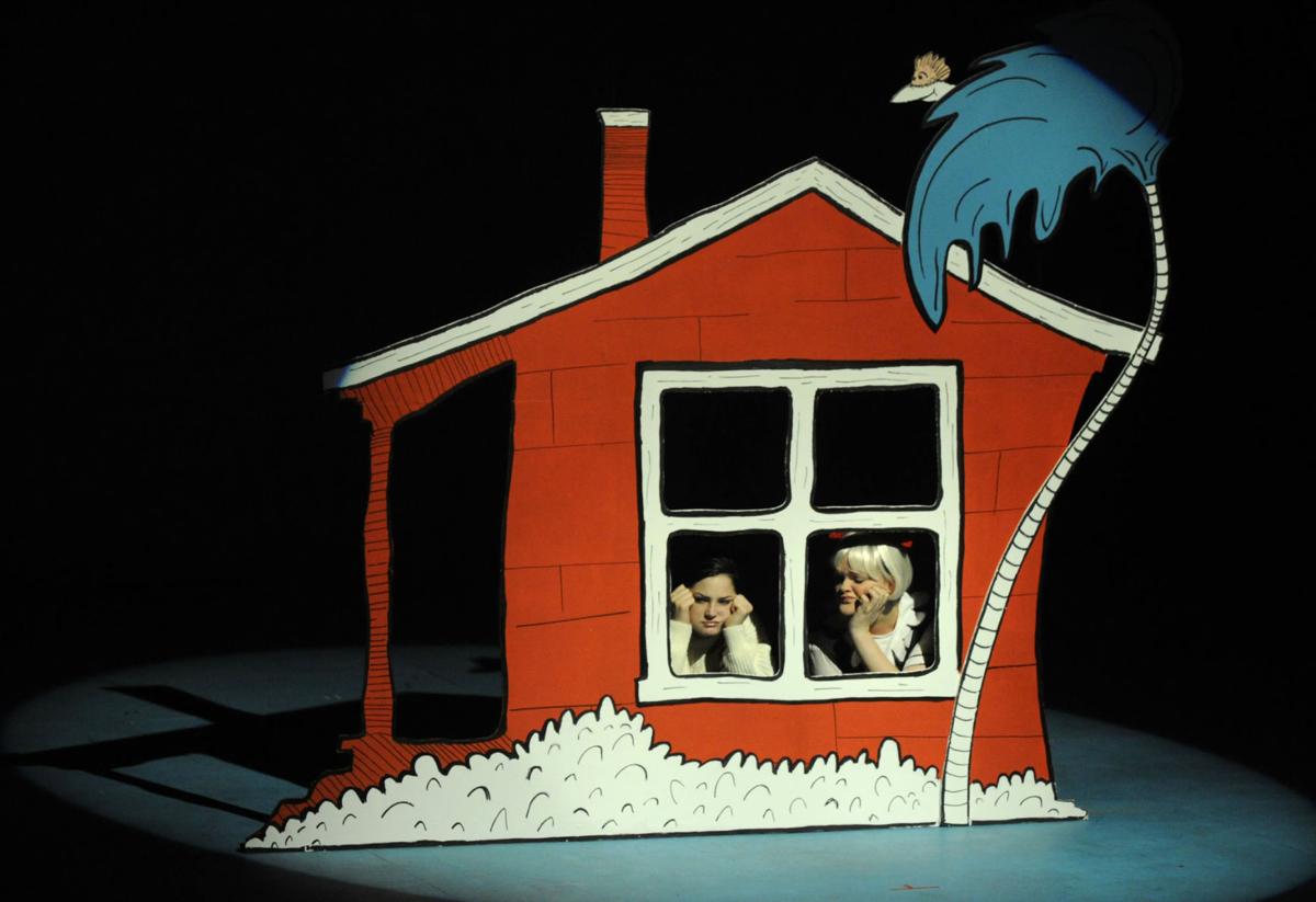 The Cat In The Hat Theatre Democratherald Com