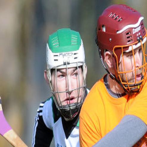 New Albany Hurling Club Hosts Match Local Democratherald Com