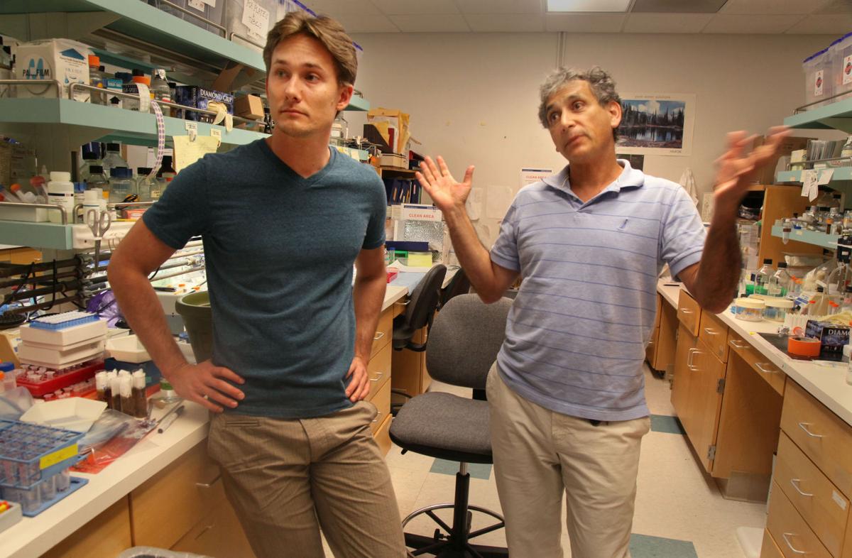 US NEWS SCI-GENETIC-ENGINEERING SD