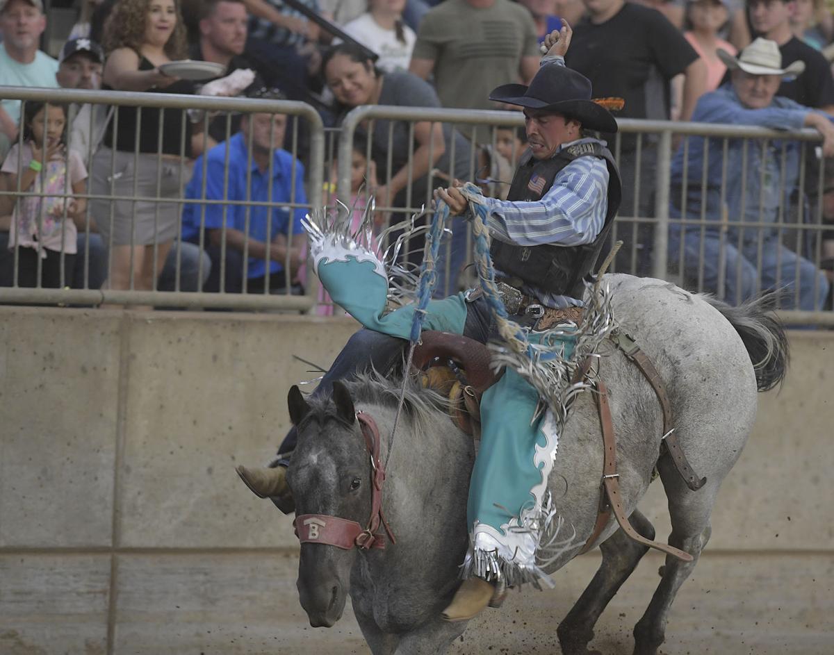 Gallery Linn County Fair Rodeo Albany