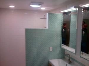 Bathroom Remodel - Shower Wall