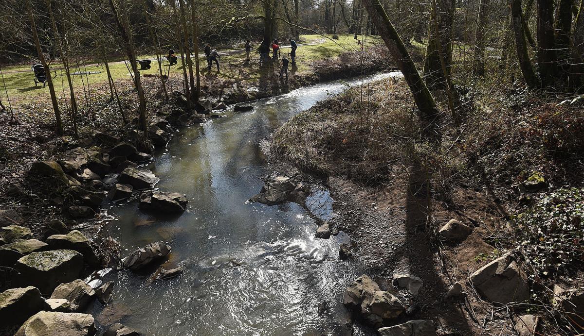 Bowman Park gets 500 new trees Local