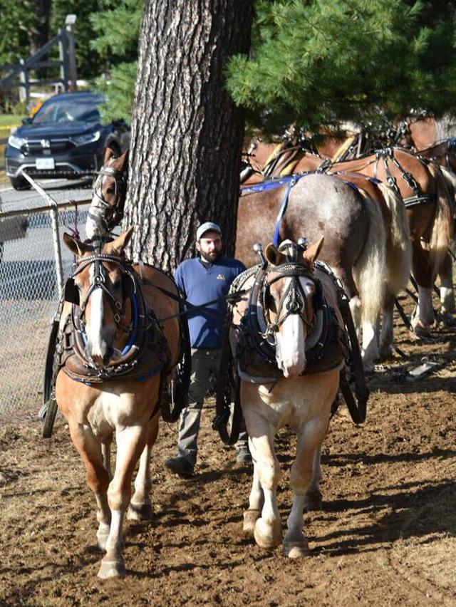 Hugely popular Deerfield Fair starts Sept. 26 News